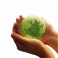 /album/galeria-de-imagens1/sustentabilidade-8-jpg1/